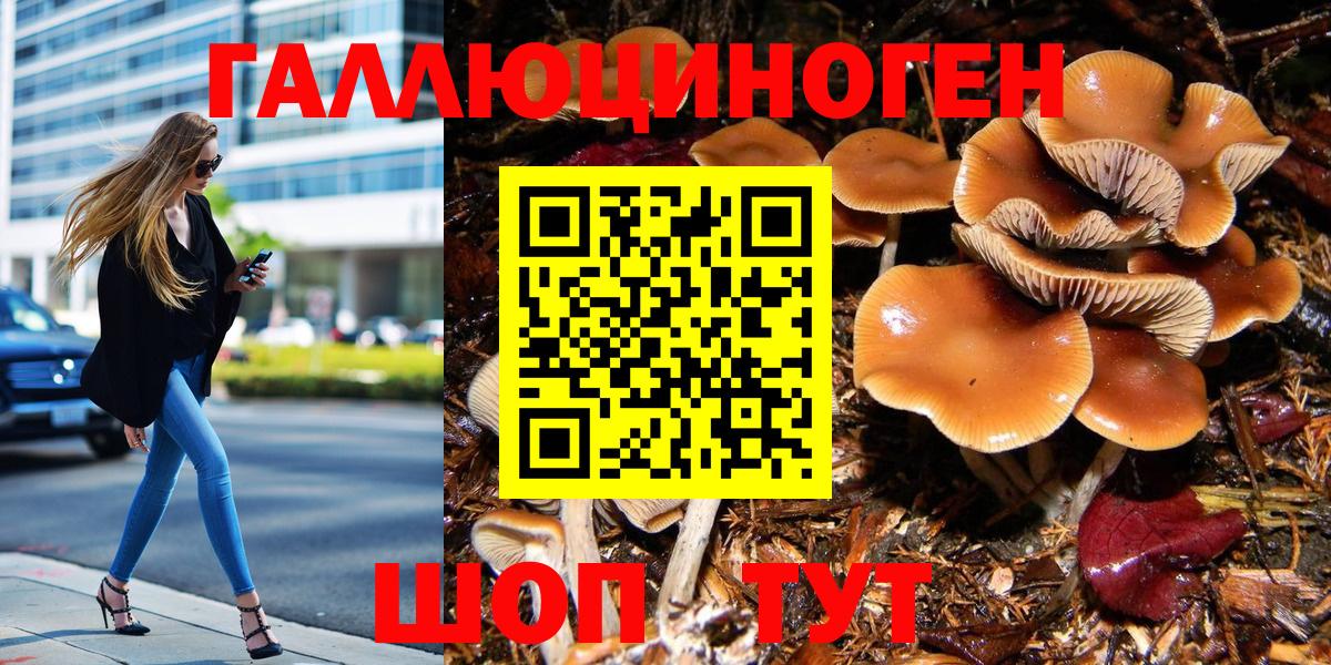 Азов  Псилоцибиновые грибы мухоморы  Вход с VPN  Галлюциногенные грибы мицелий 