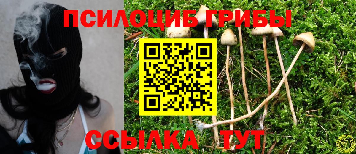 Галлюциногенные грибы MAGIC MUSHROOMS Азов